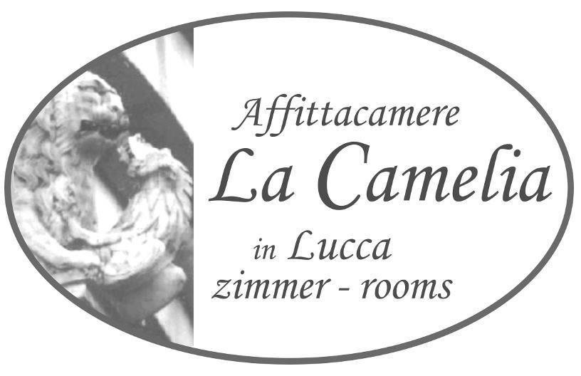 Affittacamere La Camelia Λούκα Εξωτερικό φωτογραφία